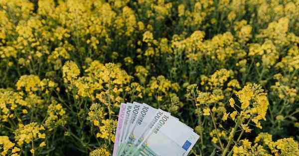 疫情心得体会200字