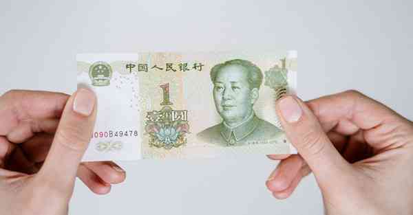 大学生疫情实践报告2000字